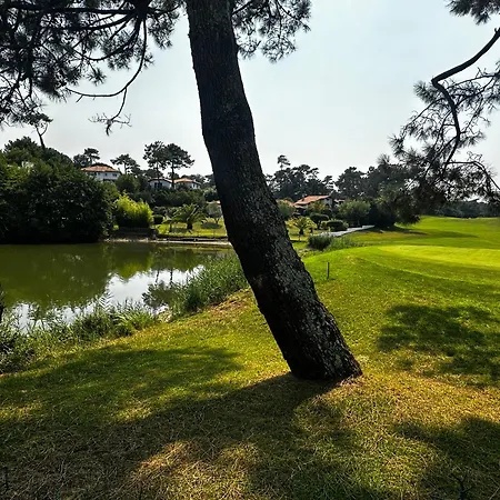 Ocean Et Golf Daire *